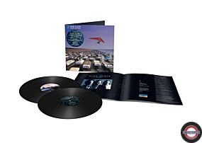 Pink Floyd - A Momentary Lapse Of Reason (Remix, 45RPM Half Speed Master) (180g)