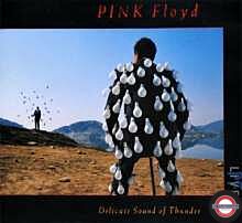  Pink Floyd - Delicate Sound Of Thunder: Live (remastered) (180g) 