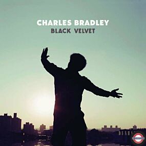 CHARLES BRADLEY — Black Velvet