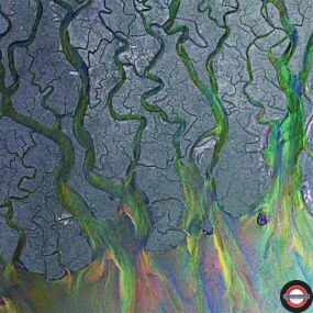 alt-J An Awesome Wave (Limited Edition) (Green Vinyl)
