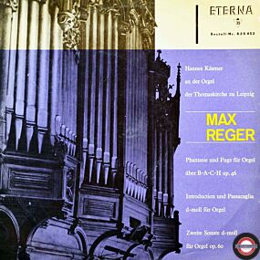 Reger: Werke für Orgel - mit Hannes Kästner