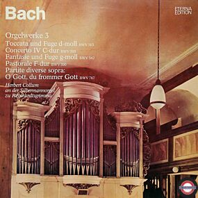 Bach: Orgelwerke auf Silbermann-Orgeln (3) - II