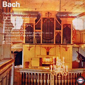 Bach: Orgelwerke auf Silbermann-Orgeln (14)