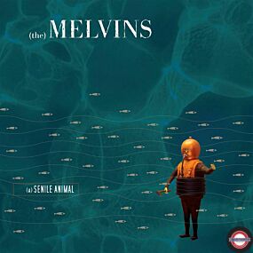 MELVINS - (A) SENILE ANIMAL (LTD. COLORED 2LP)