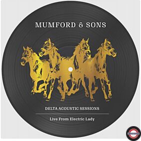 Mumford & Sons - Delta Acoustic Sessions