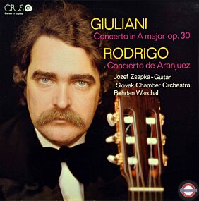 Gitarren-Konzerte von Rodrigo und Giulani - mit Zsapka