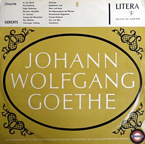 Hans Hildebrandt - Johann Wolfgang Goethe II