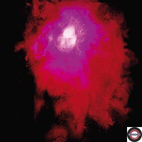 Porcupine Tree - Up The Downstair (2LP)