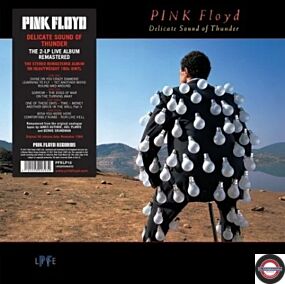 Pink Floyd - Delicate Sound of Thunder (3x Vinyl 180g)