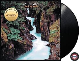 Yusuf / Cat Stevens - Back To Earth